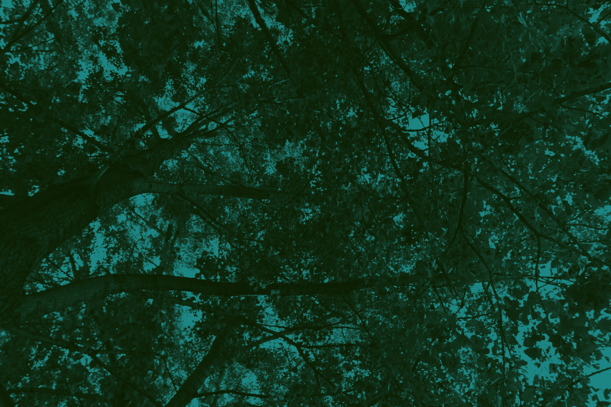 Background3 | Beechwood Hospitality